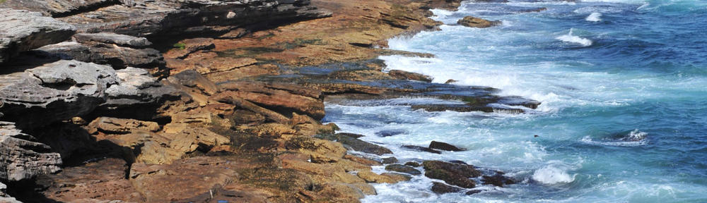 pacific batu